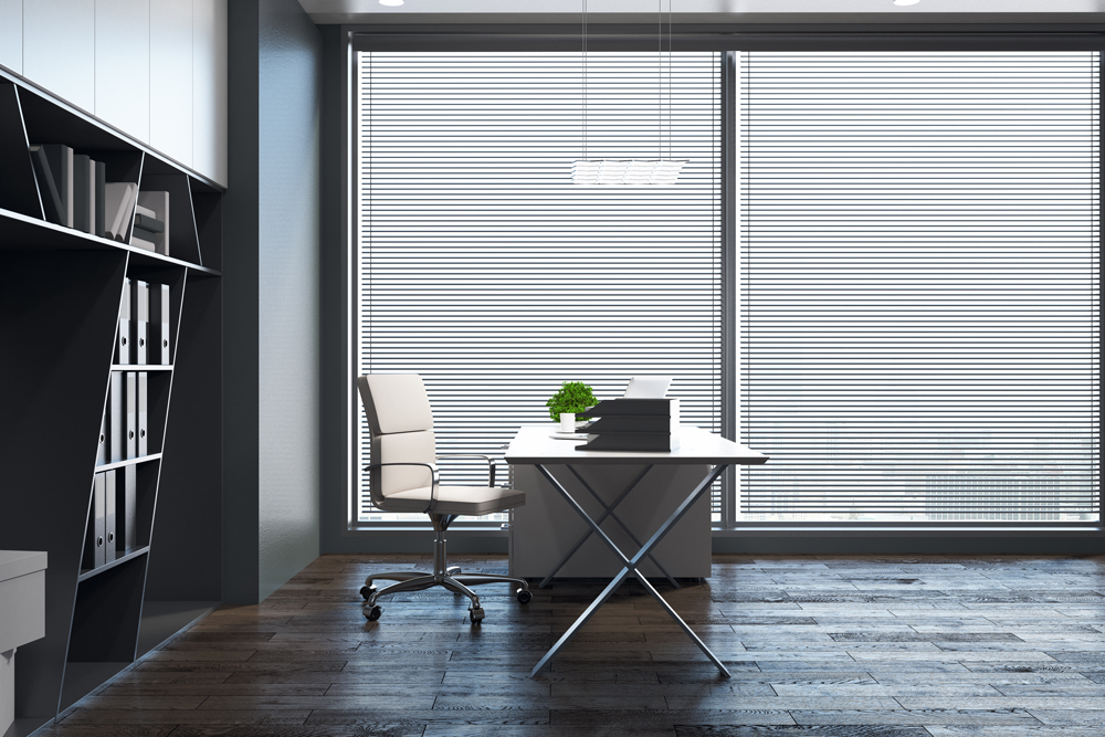 office window treatments blinds